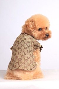 designer-dog-clothes-summer-doggie-t-shirt-short-sleeve-dog-summer-shirt-dog-s-t-shirt