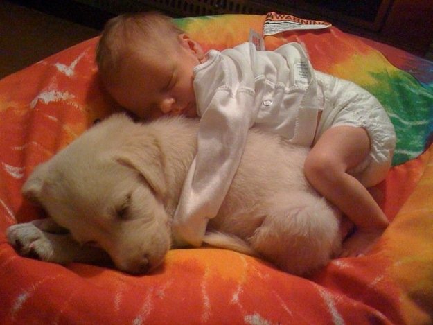 Newborn-puppy-and-baby-spooning