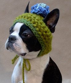 beantown-handmade-dog-hats