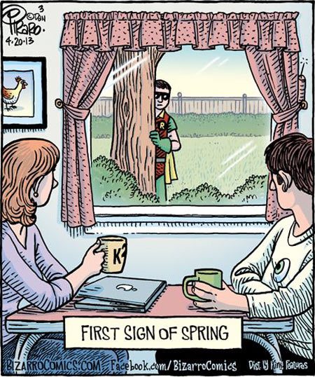 funny-Robin-first-sign-spring